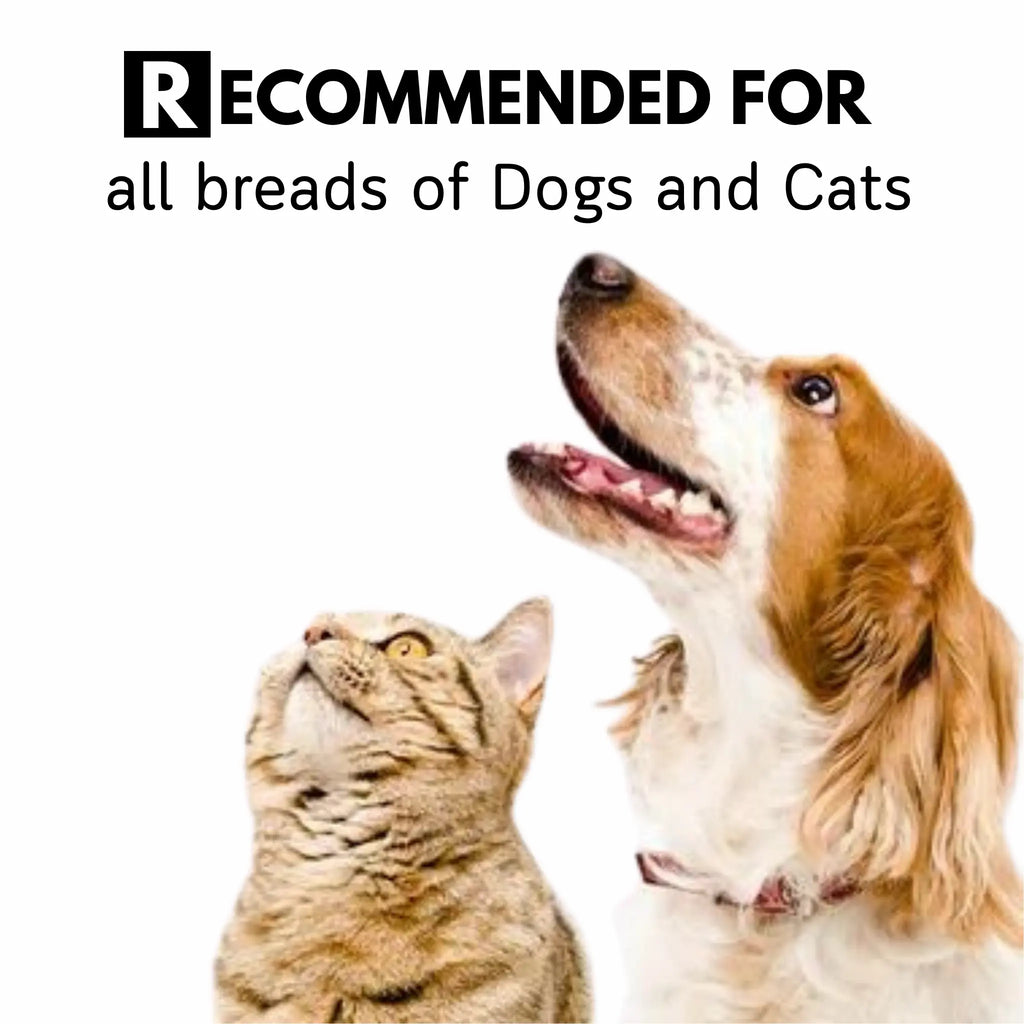 Clean & Protect Duo For Cats & Dog