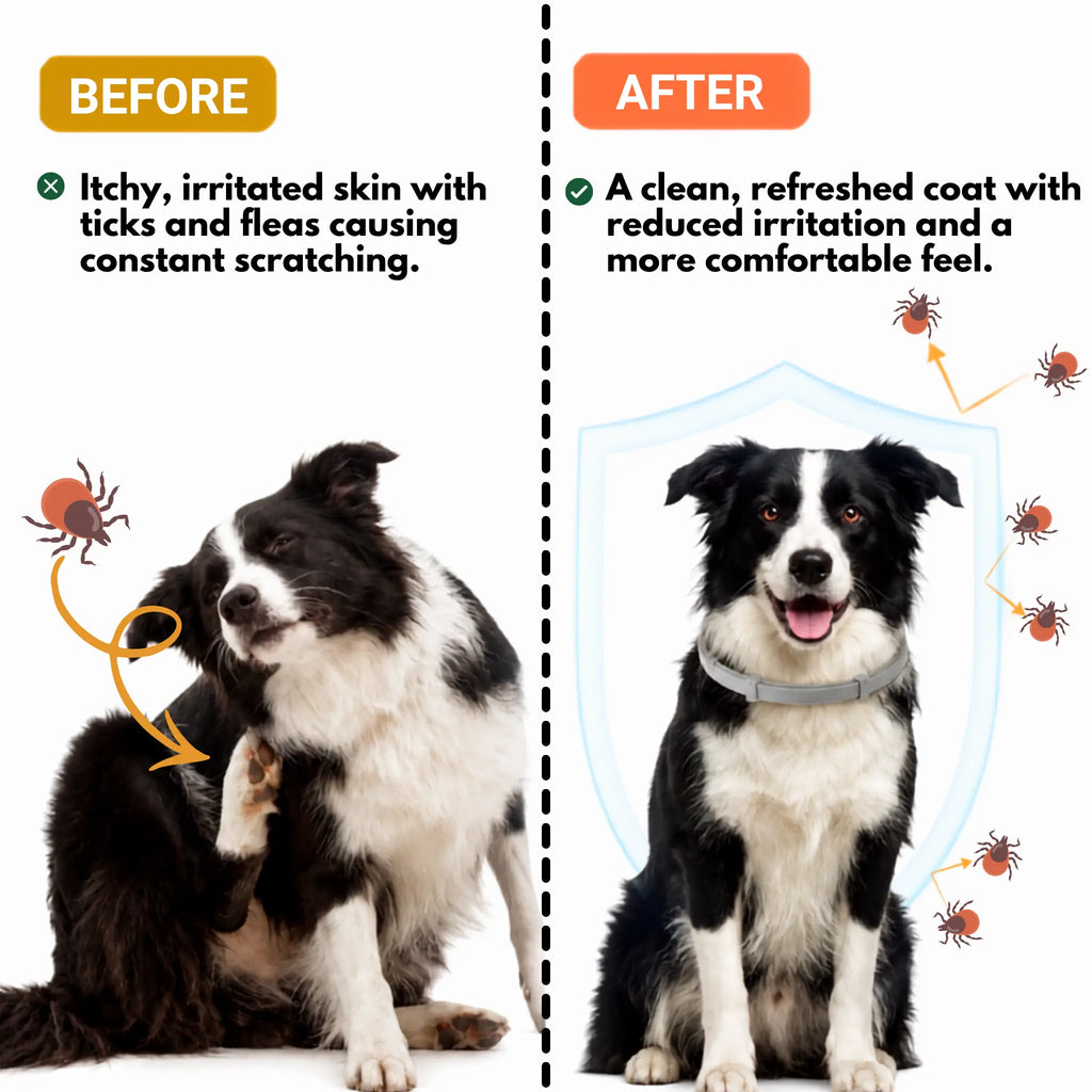 Zero Tick & Flea Repellent Spray for Cats & Dogs