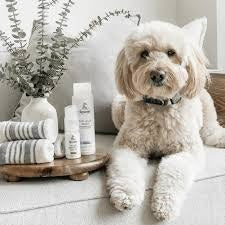 Petbuddy Xtra Care 2-in-1 (Shampoo & Conditioner)